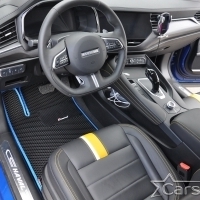 Автомобильные коврики EVA на Haval F7x I (2018-2022)