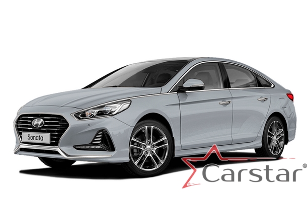 Автомобильные коврики EVA 3D для Hyundai Sonata VII рестайл (2017-2019)